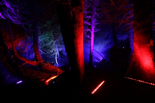 Illumina   026.jpg